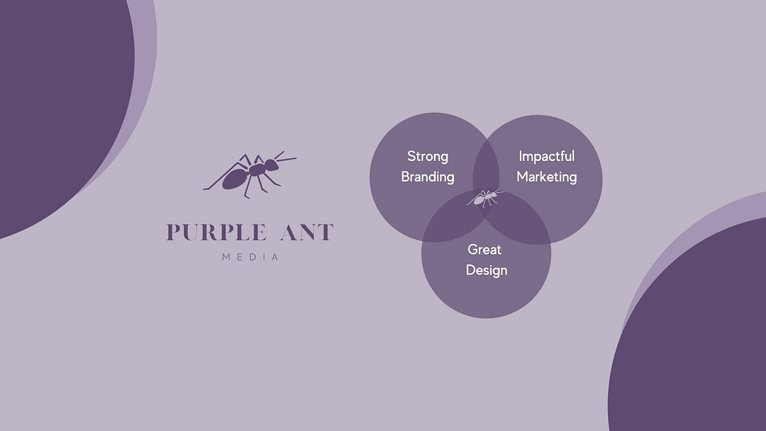 Purple Ant Media, Inc. cover